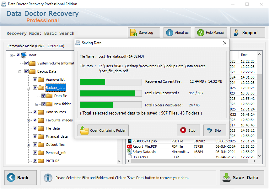 Professional Data Recovery Software